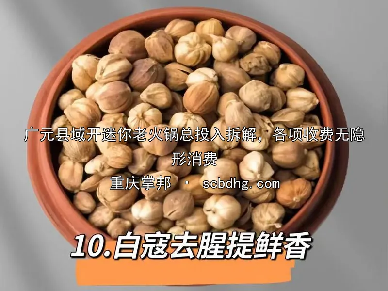 广元县域开迷你老火锅总投入拆解，各项收费无隐形消费