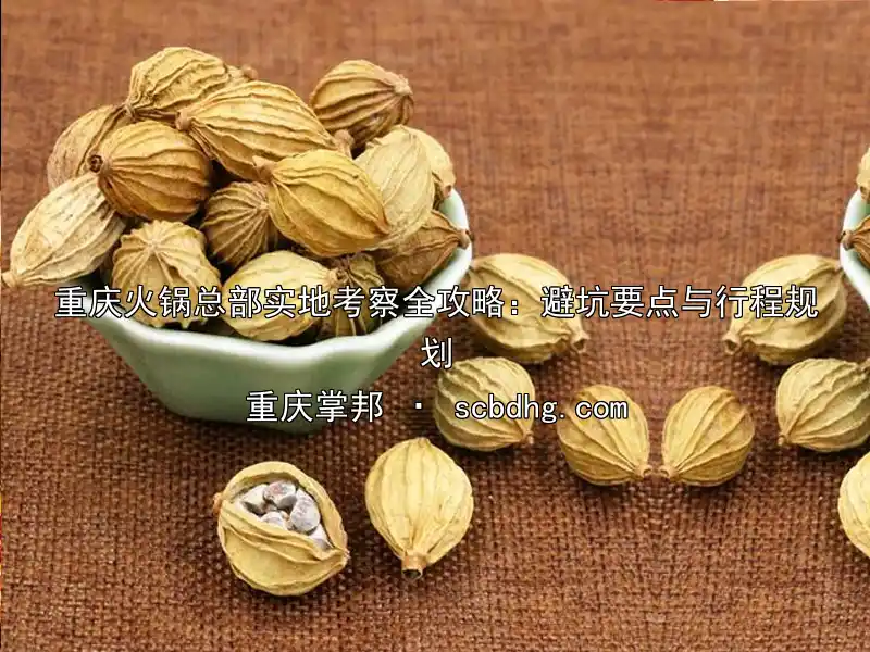 重庆火锅总部实地考察全攻略：避坑要点与行程规划