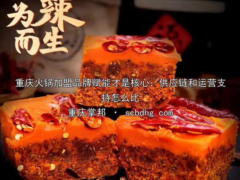 重庆火锅加盟品牌赋能才是核心：供应链和运营支持怎么比